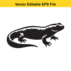 Vector illustration of a salamander, a type of amphibian, in black and white.