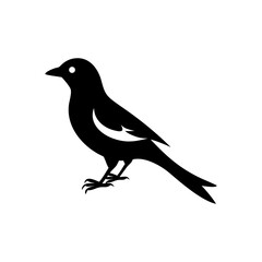 Obraz premium Canary Bird Silhouette Image – Vector Illustration on Transparent Background