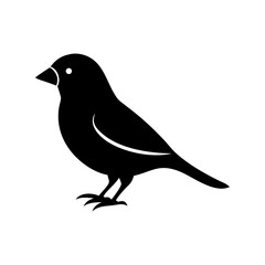 Obraz premium Canary Bird Silhouette Image – Vector Illustration on Transparent Background