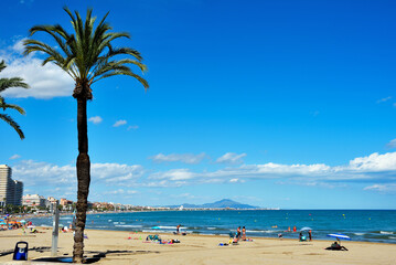 panoramic view of the beach, located on the Costa del Azahar The beach is characterized by fine golden sand Peniscola Spain