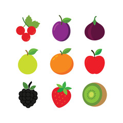 Colorful set of fruits vector illustration(A)