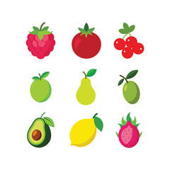Colorful set of fruits vector illustration(B)