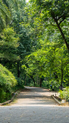 Vertical photo of a walking pathway with green trees