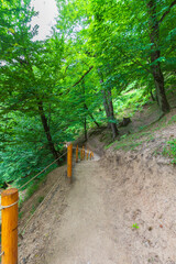 Mountain path to the Shirhal waterfall