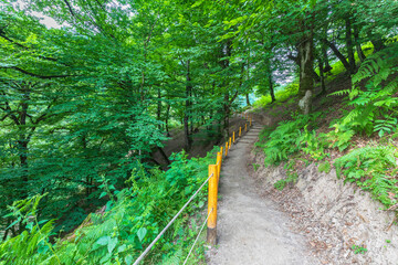 Mountain path to the Shirhal waterfall
