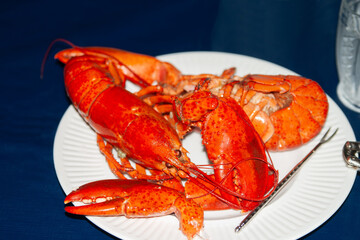 Cooked lobster on white plate with blue background and utensils for removing meat from shell