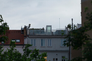 From a rooftop perspective, we can appreciate the stunning interplay between urban architecture and...