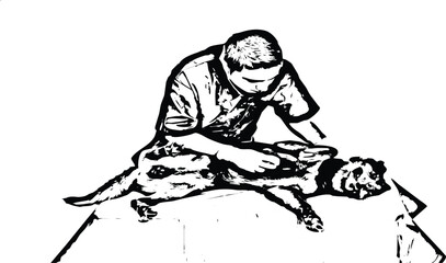 Doctor vet examine dog