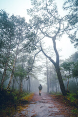A woman walking with trekking poles in a forest in Thailand. She was wearing a brown jacket...