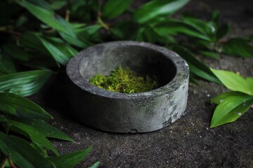 Organic product scene with concrete base and moss for nature-themed branding
