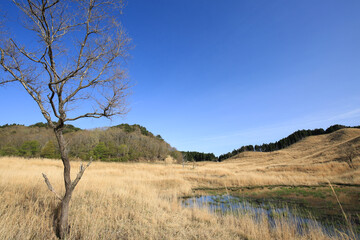 兵庫県神河町　砥峰高原の風景