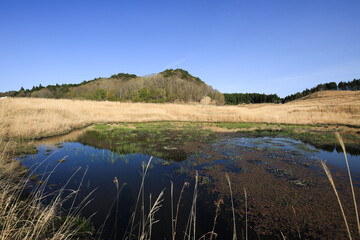 兵庫県神河町　砥峰高原の風景