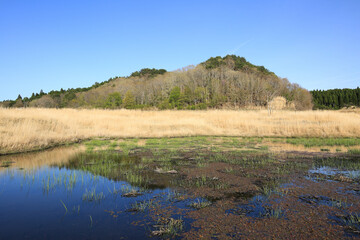 兵庫県神河町　砥峰高原の風景