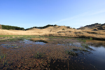 兵庫県神河町　砥峰高原の風景