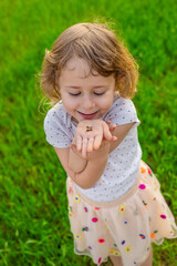 Child playing with ladybug. Selective focus.