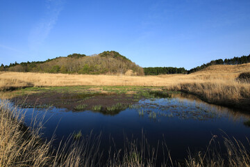 兵庫県神河町　砥峰高原の風景