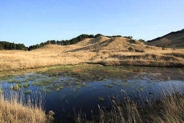 兵庫県神河町　砥峰高原の風景