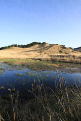 兵庫県神河町　砥峰高原の風景