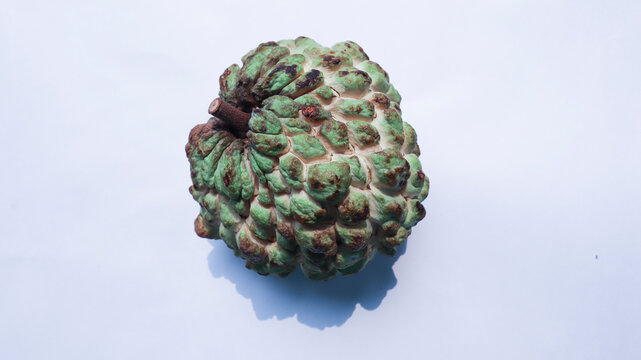 Custard apple fruit on white background. Sita phal or Sitafal fruit