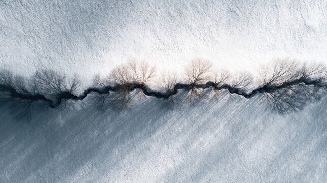 Bare trees following a winding path in a snowy landscape.