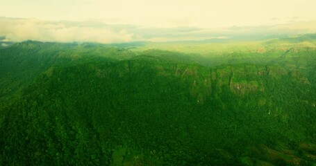 Mountain Biodiversity Flight