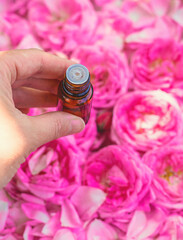 Rose essential oil in a bottle. Selective focus.