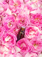 Rose essential oil in a bottle. Selective focus.