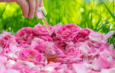Rose essential oil in a bottle. Selective focus.
