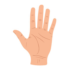Hand vector for animation