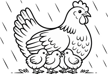 Obraz premium A hen shelters her chicks from the rain, a heartwarming scene of maternal care.