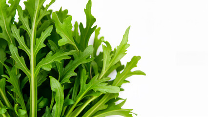 Fototapeta premium Green salad arugula leaves isolated on white background. For food or nutrition use. For healthy eating or diet concepts.