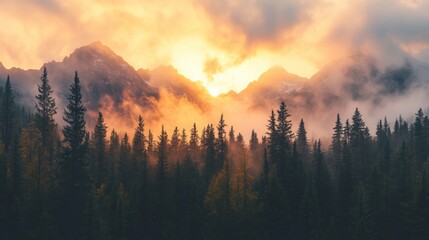 Obraz premium Scenic Mountain Landscape with Dense Pine Forest Under Cloudy Sunrise
