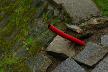 A bright red stick stands out against the charming cobblestone path, surrounded by lush greenery...