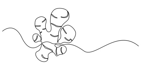 Ginger vector illustration. One line drawing art illustration organic ginger, Single one line drawing of healthy organic ginger for harvesting logo identity. Fresh flowering plant rhizome concept pro.