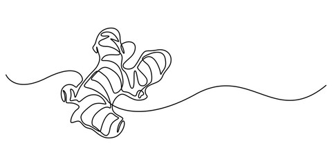 Ginger vector illustration. One line drawing art illustration organic ginger, Single one line drawing of healthy organic ginger for harvesting logo identity. Fresh flowering plant rhizome concept pro.