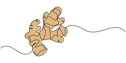 Ginger vector illustration. One line drawing art illustration organic ginger, Single one line drawing of healthy organic ginger for harvesting logo identity. Fresh flowering plant rhizome concept pro.