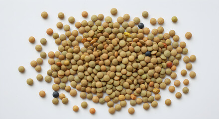 Green lentils source of protein and fiber 