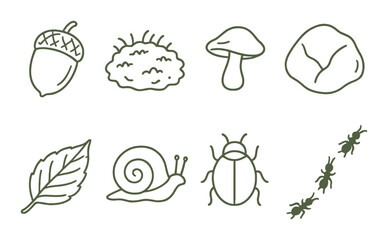 Obraz premium Forest nature set. woodland flat symbols. acorn, mushroom, leaf, snail, bug, ant vector icons.
