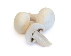Edible button mushroom isolated on white background