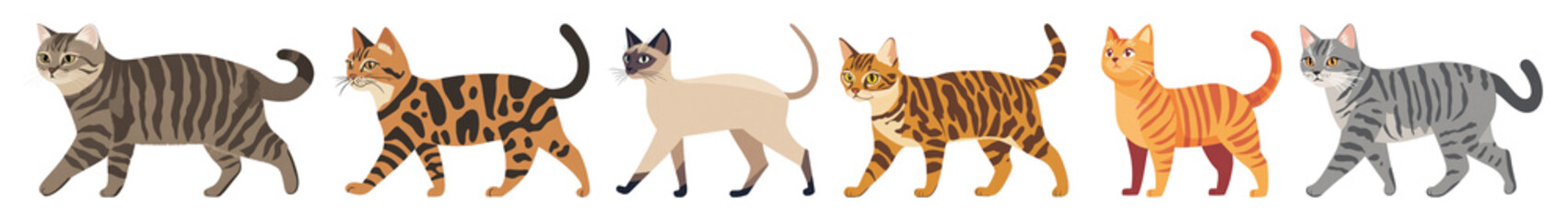 Naklejka premium PNG Scottish Fold cat walking illustration pet art., transparent background