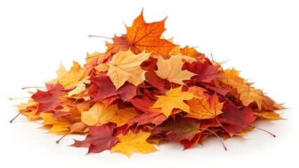 Autumn Maple Leaf Pile High-Res Image, Cone Composition, Fall Colors, White Background, Autumn Photography Autumn leaves, fall foliage