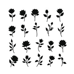 Twenty black silhouette roses botanical flower set