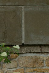 The image highlights a closeup of rough brick and concrete walls with delicate white flowers at their base, showcasing the blend of urban architecture and vibrant nature