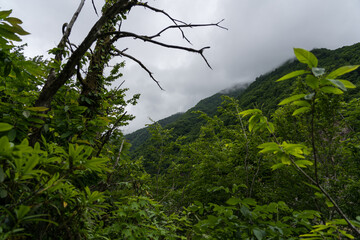 Thick clouds hang over the green mountains of Georgia