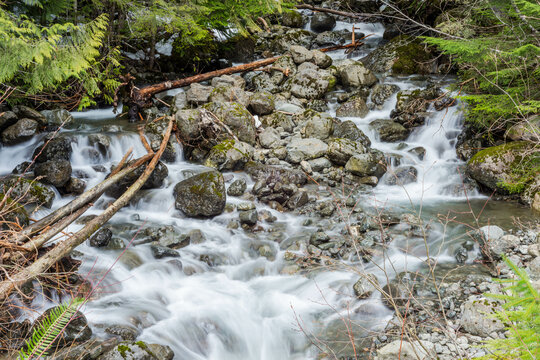 small waterfall in the forest