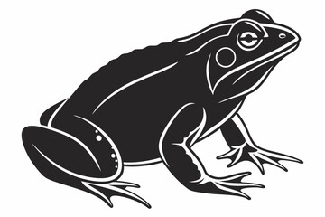 african bullfrog sihouette black vector 