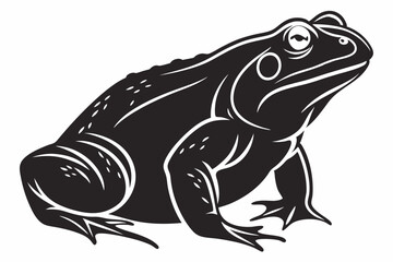 african bullfrog sihouette black vector 