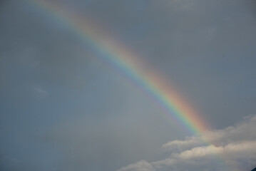 rainbow in the sky