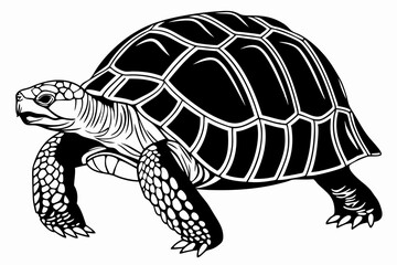 Fototapeta premium aldabra tortoise sihouette black vector