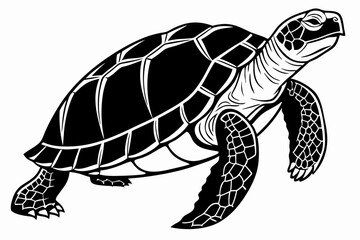 Obraz premium aldabra tortoise sihouette black vector